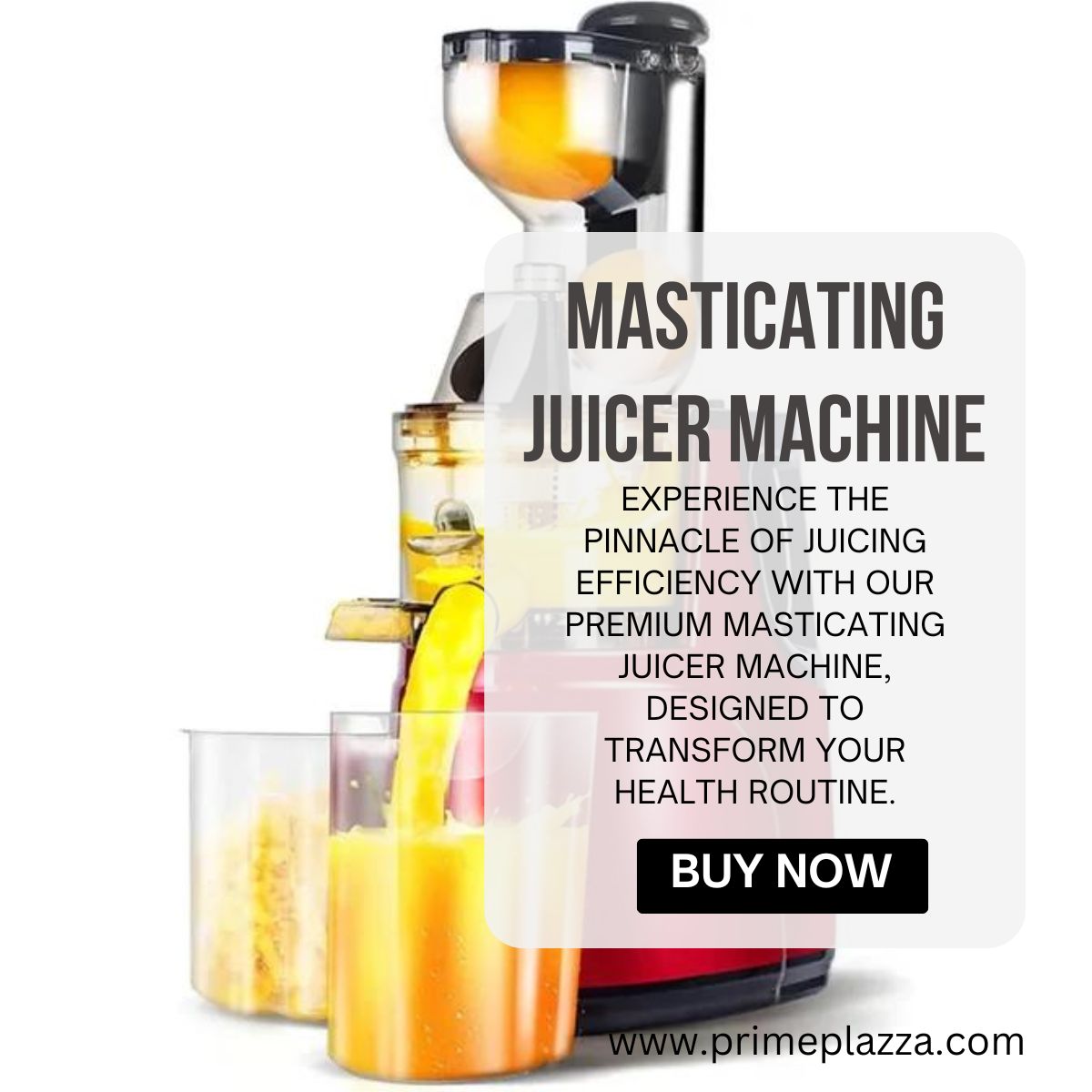 Experience Superior Nutrition with the Masticating Juicer Machine