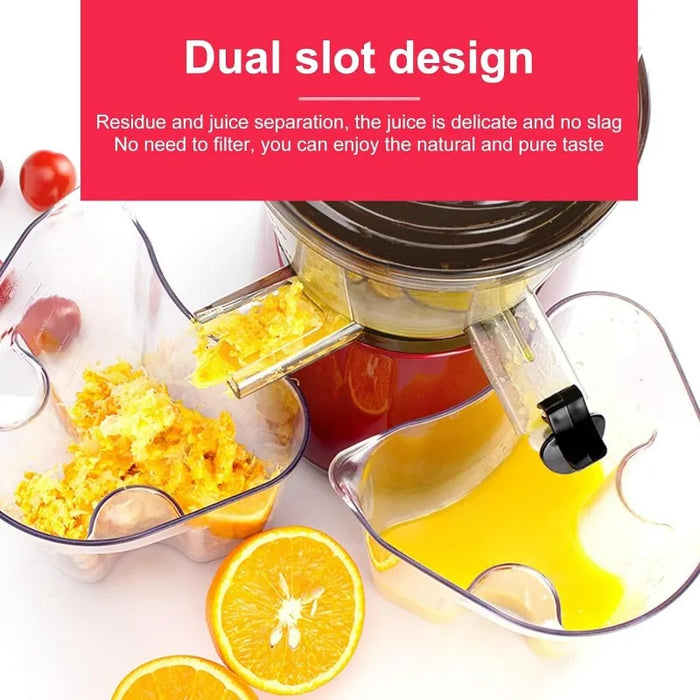 Masticating Juicer Machine